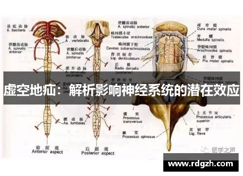 虚空地疝：解析影响神经系统的潜在效应